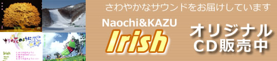 irish-CD̔